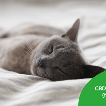 CBD-oil-for-sleep-uk